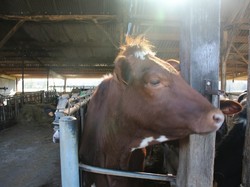 Randonnée et visite à SONZAY