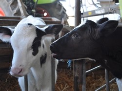 Randonnée et visite à SONZAY