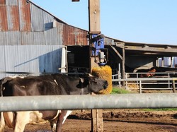 Randonnée et visite à SONZAY