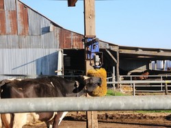 Randonnée et visite à SONZAY