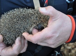 Randonnée et visite à SONZAY