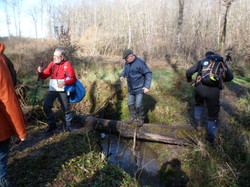 VILLAINES LES ROCHERS