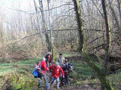 VILLAINES LES ROCHERS