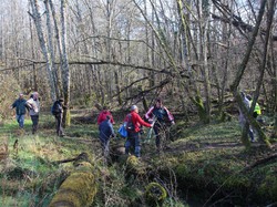 VILLAINES LES ROCHERS