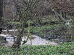 VILLAINES LES ROCHERS