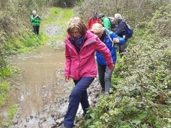 Villaines les Rochers