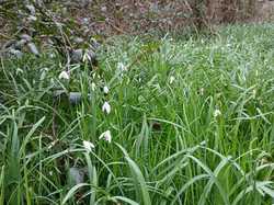 Villandry 22/03/2025