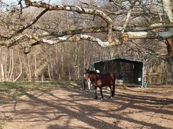 VILLANDRY 07/03/2021