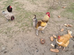 VILLANDRY 07/03/2021