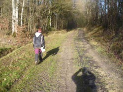 Randonnée Villebourg 03 février 2013