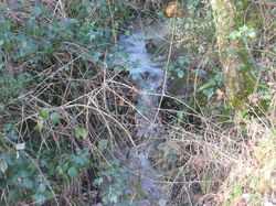 Randonnée Villebourg 03 février 2013