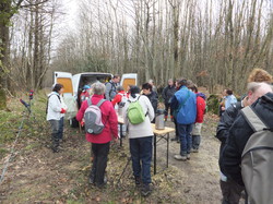 Randonnée Villebourg 03 février 2013