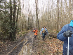 Randonnée Villebourg 03 février 2013