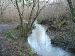 Randonnée Villebourg 03 février 2013