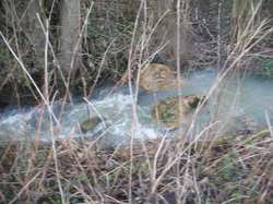 Randonnée Villebourg 03 février 2013