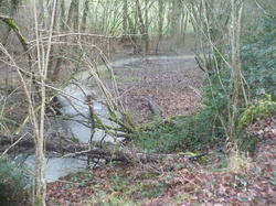 Randonnée Villebourg 03 février 2013