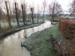 Randonnée Villebourg 03 février 2013