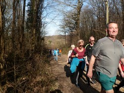 Randonnée Villedômer 16/02/2019