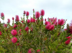 Week-end à Bréhat 08 au 10/06/2019