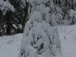 Week-End Raquettes à Chastreix-Sancy du 01-02 février 2014