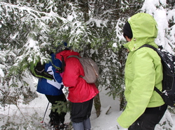 Week-End Raquettes à Chastreix-Sancy du 01-02 février 2014