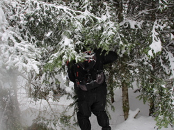 Week-End Raquettes à Chastreix-Sancy du 01-02 février 2014