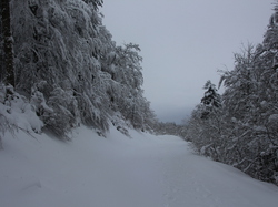 Week-End Raquettes à Chastreix-Sancy du 01-02 février 2014