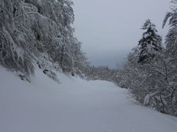 Week-End Raquettes à Chastreix-Sancy du 01-02 février 2014