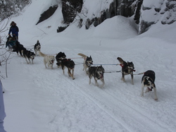 Week-End Raquettes à Chastreix-Sancy du 01-02 février 2014