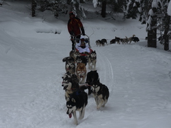 Week-End Raquettes à Chastreix-Sancy du 01-02 février 2014