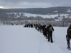Week-End Raquettes à Chastreix-Sancy du 01-02 février 2014