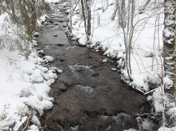 Week-End Raquettes à Chastreix-Sancy du 01-02 février 2014