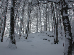 Week-End Raquettes à Chastreix-Sancy du 01-02 février 2014