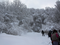 Week-End Raquettes à Chastreix-Sancy du 01-02 février 2014