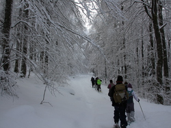 Week-End Raquettes à Chastreix-Sancy du 01-02 février 2014