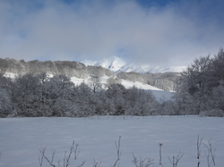Week-End Raquettes à Chastreix-Sancy du 01-02 février 2014