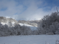 Week-End Raquettes à Chastreix-Sancy du 01-02 février 2014