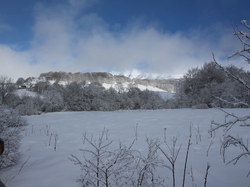 Week-End Raquettes à Chastreix-Sancy du 01-02 février 2014