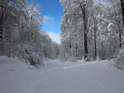 Week-End Raquettes à Chastreix-Sancy du 01-02 février 2014