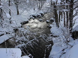 Week-End Raquettes à Chastreix-Sancy du 01-02 février 2014