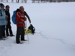 Week-End Raquettes à Chastreix-Sancy du 01-02 février 2014