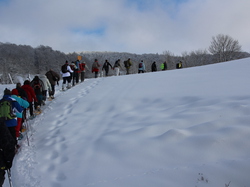 Week-End Raquettes à Chastreix-Sancy du 01-02 février 2014