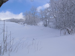 Week-End Raquettes à Chastreix-Sancy du 01-02 février 2014