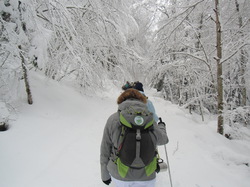 Week-End Raquettes à Chastreix-Sancy du 01-02 février 2014