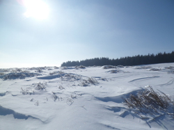 Week-end raquettes CHASTREIX