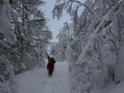 Week-end raquettes CHASTREIX