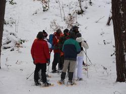 Week-end raquettes CHASTREIX