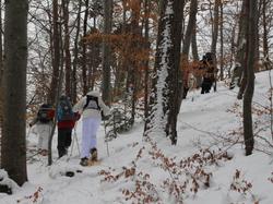 Week-end raquettes CHASTREIX