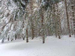 Week-end raquettes CHASTREIX