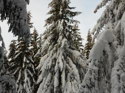 Week-end raquettes CHASTREIX